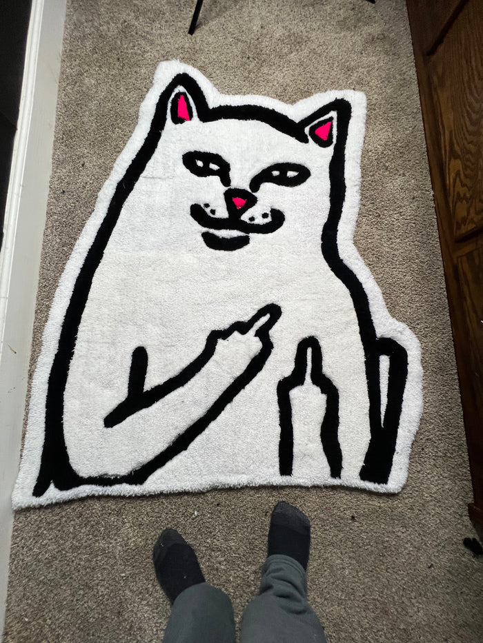 Attitude cat